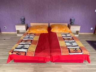 Отели типа «постель и завтрак» Willa Justynka Bystrzyca Górna Двухместный номер с 1 кроватью или 2 отдельными кроватями-4